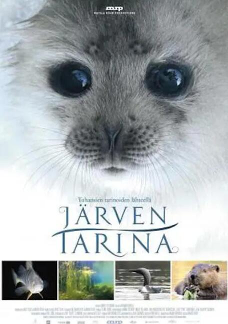 窃听风云在线观看